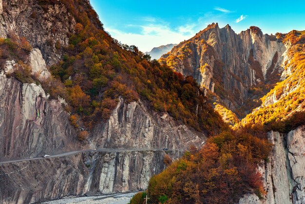 危険な山道の車