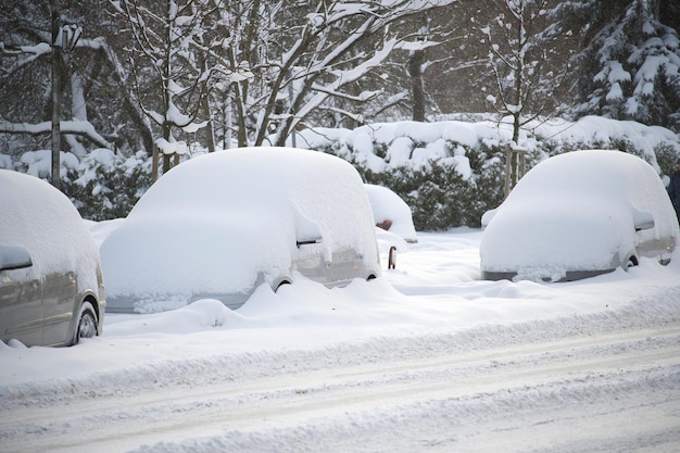 雪の厚い層に覆われた車一部の車はほぼ完全に雪に埋まっています