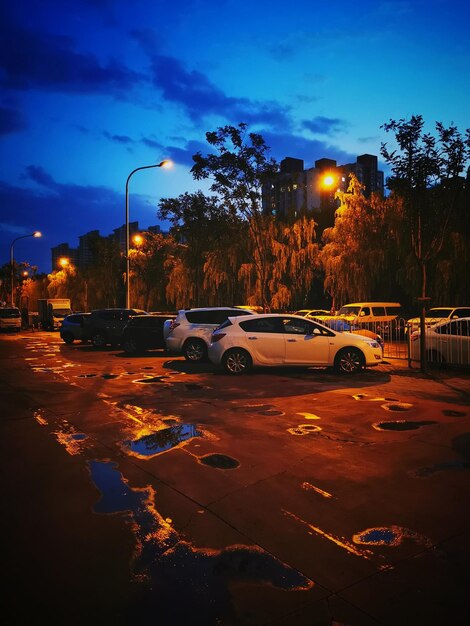 Cars on illuminated street at night