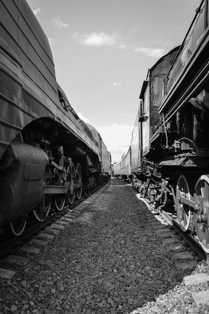 2 つの古い列車の間の古い列車の車の間 列車の黒と白のビンテージ写真