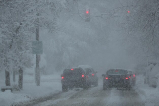 写真 雪が降る間凍った木の間で道路を走る車