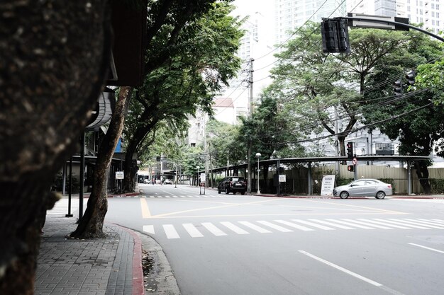 写真 街の木々に沿って道路を走る車