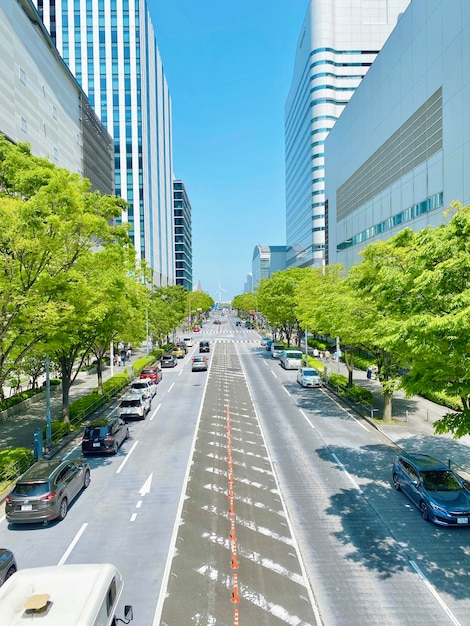 写真 道路上の車