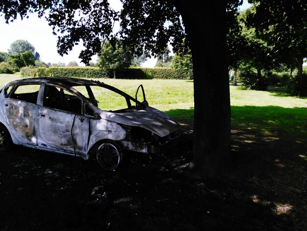 Foto auto parcheggiate sul campo