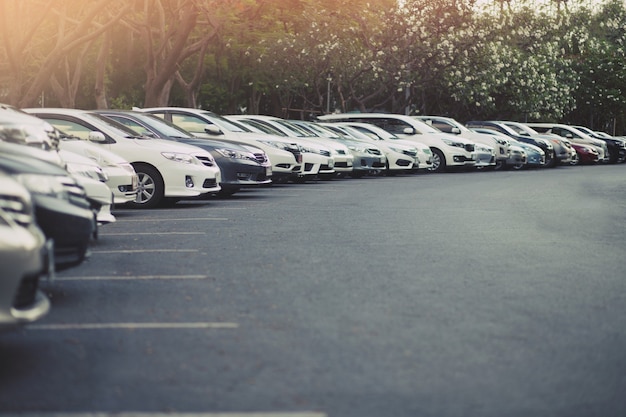 Cars parked in the parking lot.Open space area Outdoors.