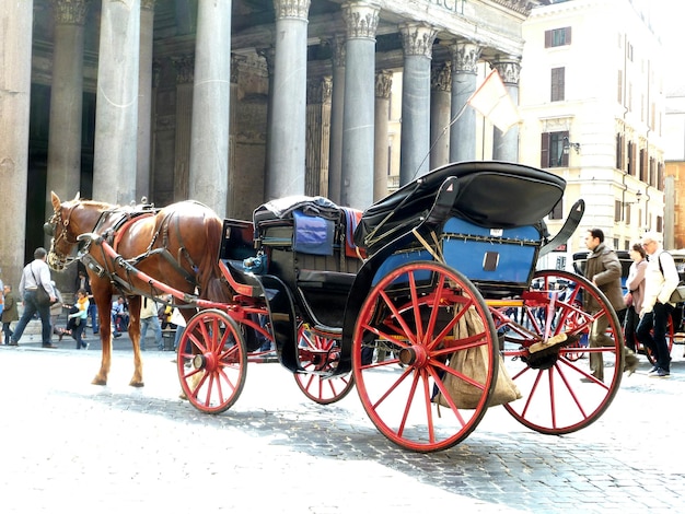 Foto auto parcheggiate nel parcheggio