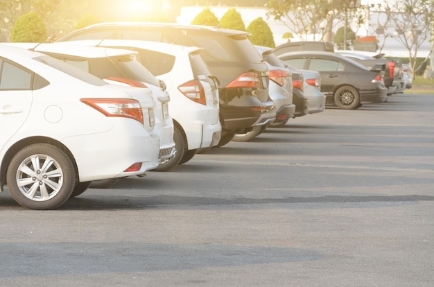 Cars parked on the street near the park