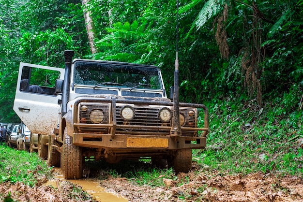 Cars Queue In the heavy rain forest in Africa