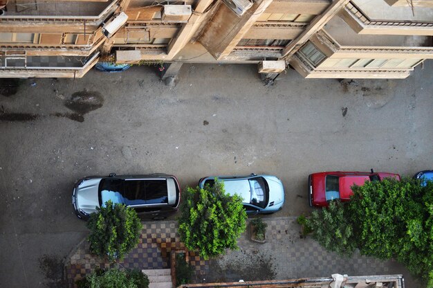 Foto auto su strada per edificio in città