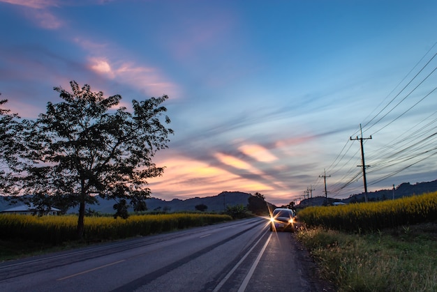 Cars on the road the road and Yellow Crotalaria juncea L. background mountains and the sun