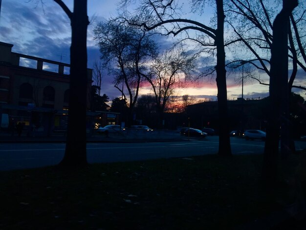 Photo cars on road at sunset