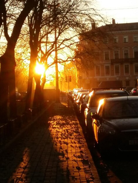 Cars on street in city during sunset