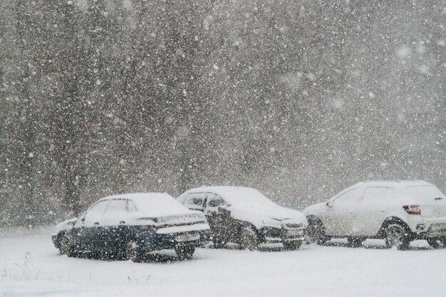 Cars on the street covered with fresh snow