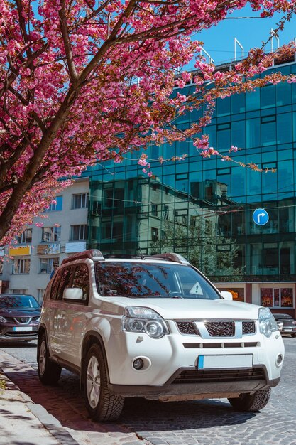 Photo cars on street