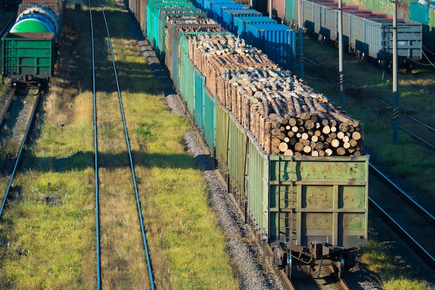 Cars with logs at the railway station. Saint-Petersburg, Russia, 2016