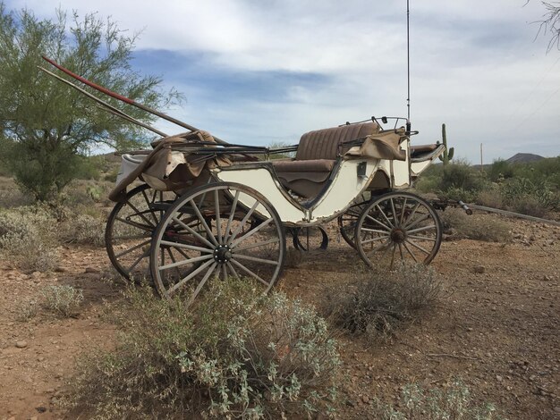 Foto carrello sul campo