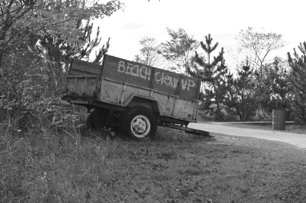 Cart on field