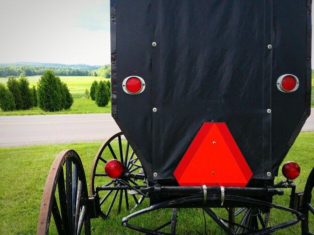 Photo cart parked on grassy field