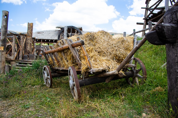 Carrello con fieno