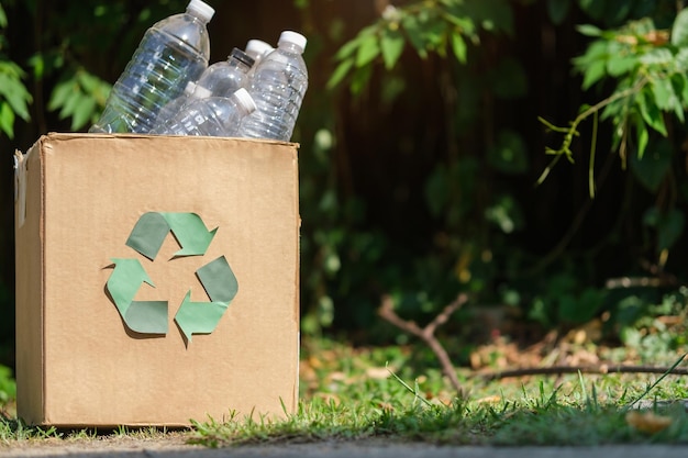 Carton box full of used plastic bottles for recycling Recycling waste sorting ecology concept