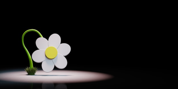 Cartoon daisy flower shape in the spotlight isolated