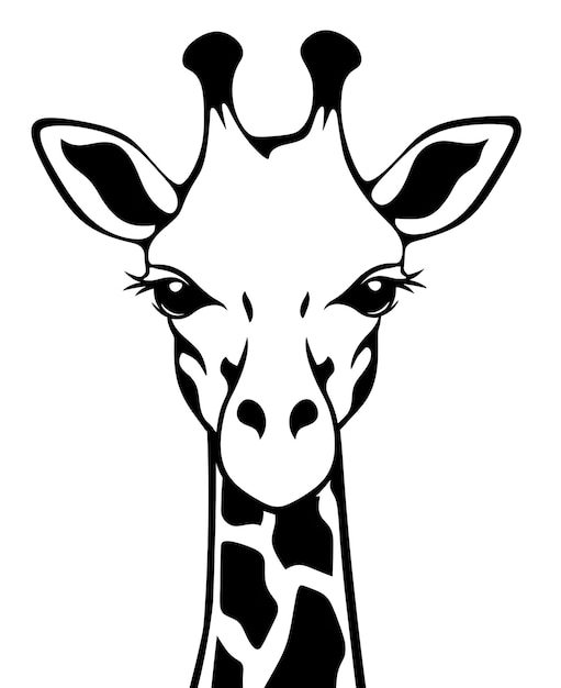 Cartoon giraffe Character art Vector illustration