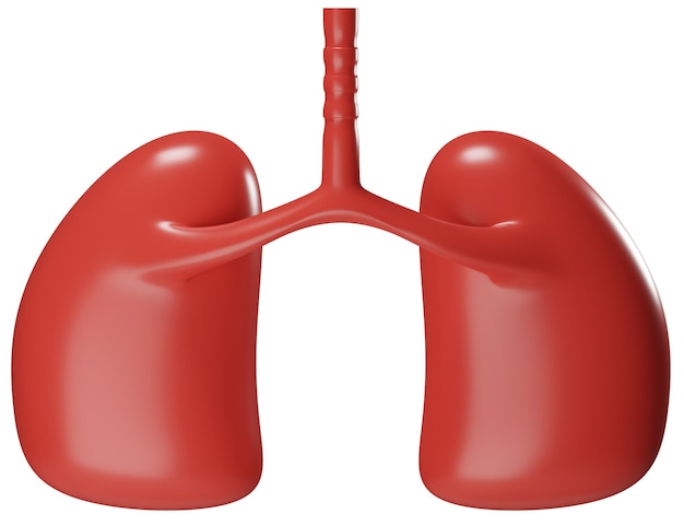 Photo cartoon lung icon 3d illustration