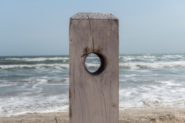 해변에 구멍이있는 새겨진 나무 줄기; 컨셉 이미지