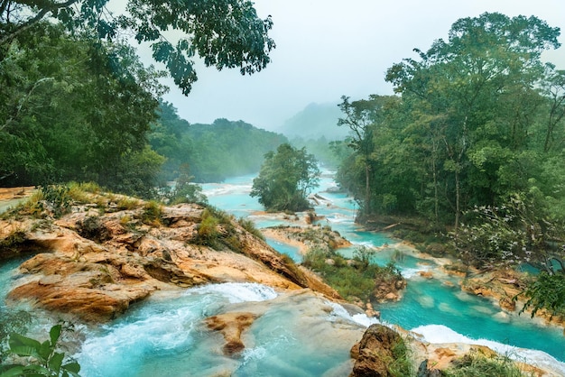 Cascadas de Agua Azul waterfalls Agua Azul Yucatan Mexico