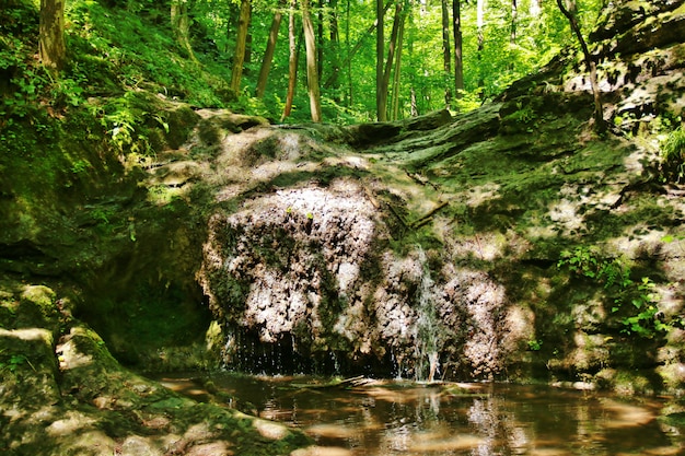 Каскад падает на замшелые скалы