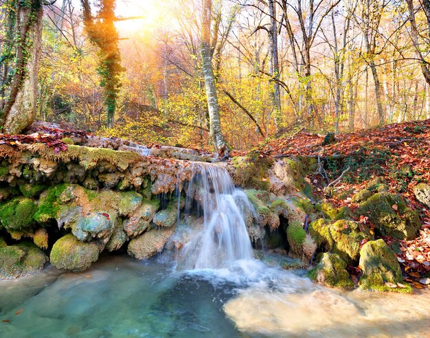 Cascade mountain river in a forest in autumn