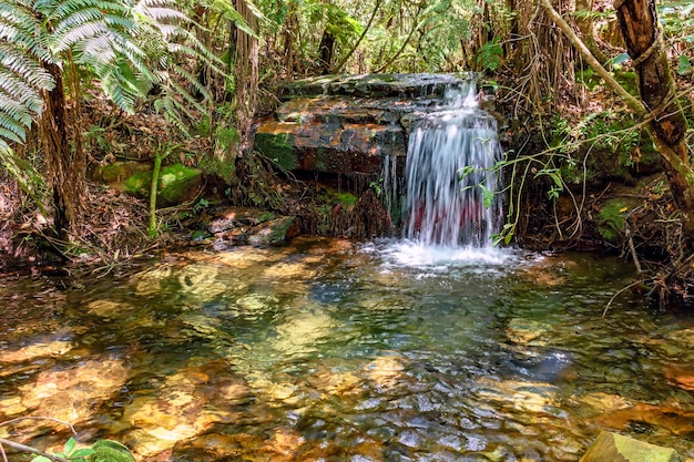 Cascade and river with transparent water between the rainforest in Carrancas Minas Gerais Brazil