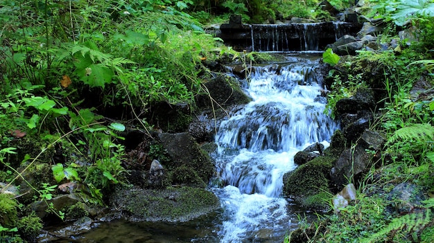 Cascade Of Small Waterfalls In Mountain Creek