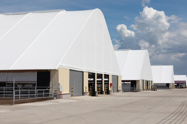 Cascade of tent buildings on a modern cow farm