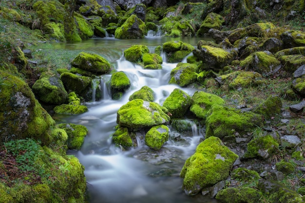 Cascade valt over bemoste rotsen