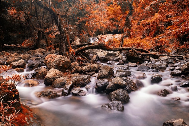 Photo cascade waterfall at fall of sarika national park nakhon nayok thailand autumn red foliage leaf