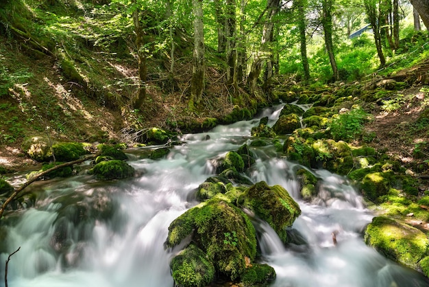 Cascades of Bukovica river in Montenegro at sunny summer day