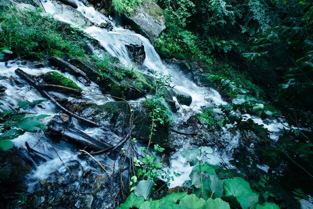 Cascading Stream in mountain forest, long exposure