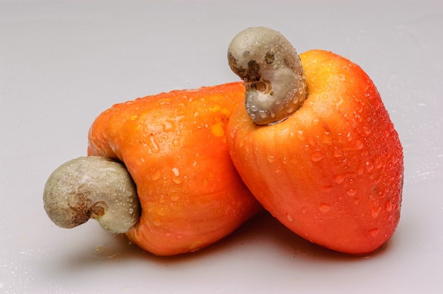 Cashew and chestnut in studio with water droplets Brazilian Fruit