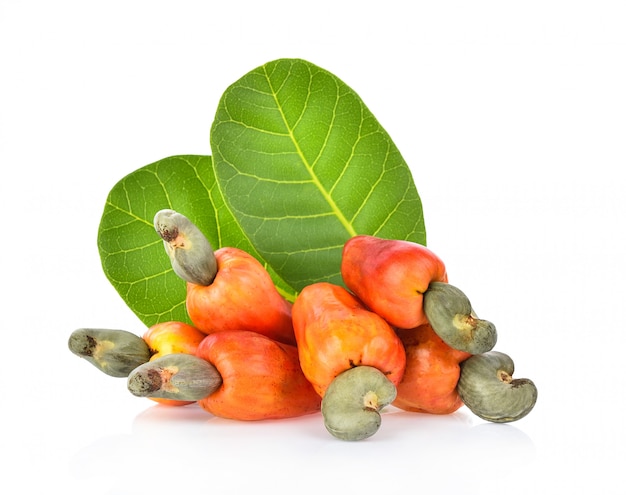 cashew fruit op wit wordt geïsoleerd