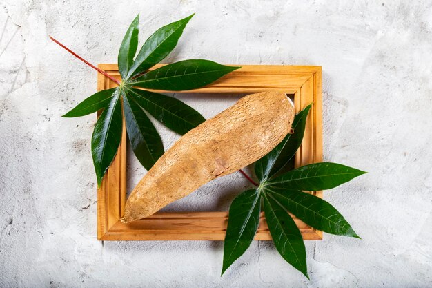 Cassava pile on white background Manihot esculenta