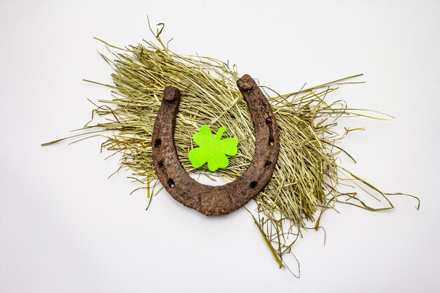 Cast iron metal horseshoe on hay, isolated on white background, felt clover leaf