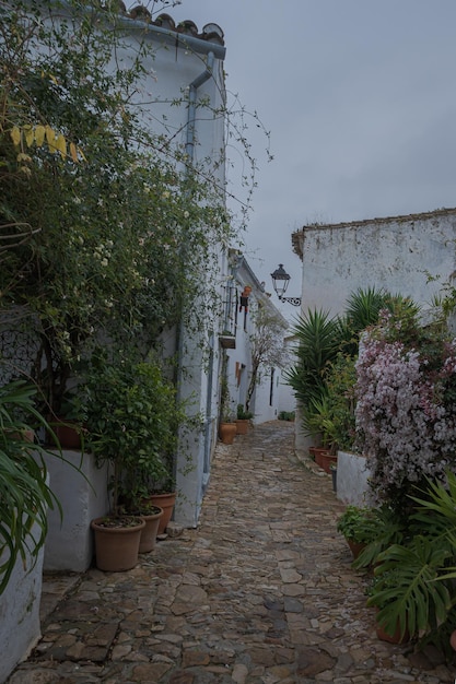 Castellar Castle is een dertiende-eeuws vestingstadje in Castellar de la Frontera, Spanje