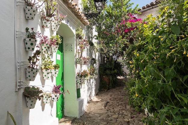 Castellar de la Frontera streets Andalusia Spain