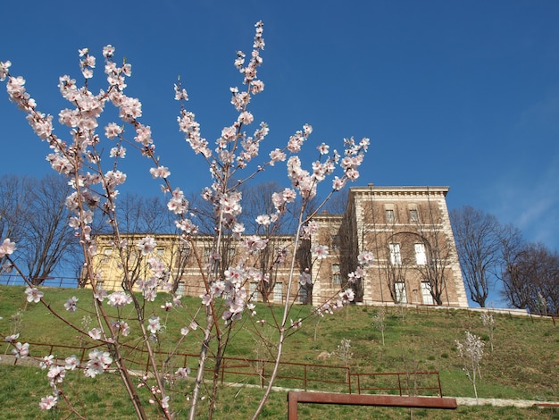 Castello di Rivoli, Italië