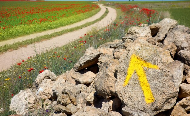 Castilla la mancha saint james way spain