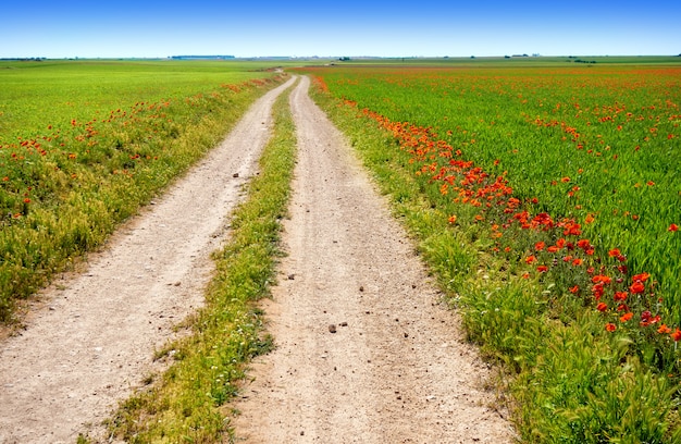 Castilla la mancha saint james way spain