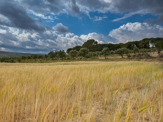 Photo castilla la mancha paisajes albacete