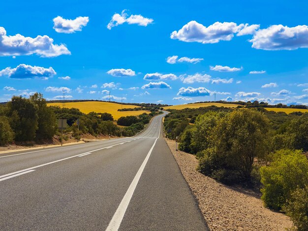 Foto castiglia la mancia paisajes albacete