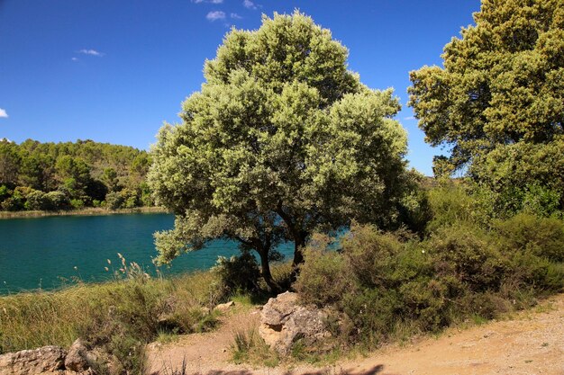 Photo castilla la mancha parque natural de las lagunas de ruidera paisajes y entorno natural